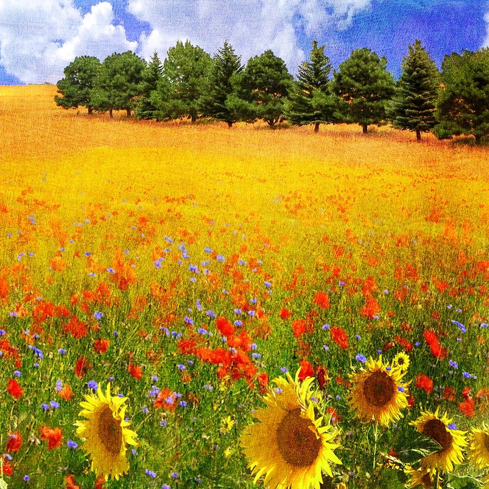 Similar wall art painting: 270708