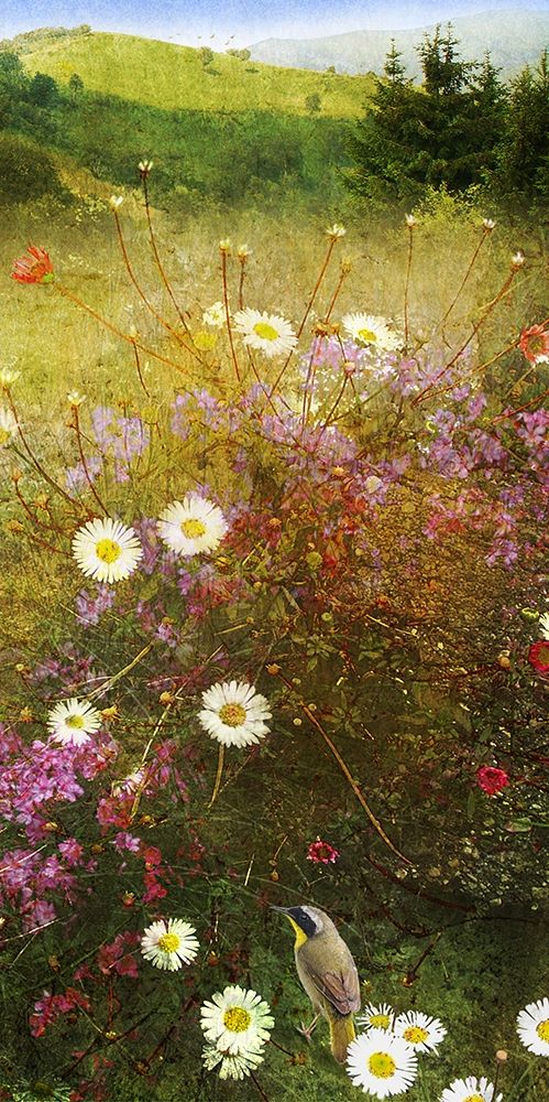 Wall Art Painting id:304497, Name: In the Meadow II, Artist: Vest, Chris