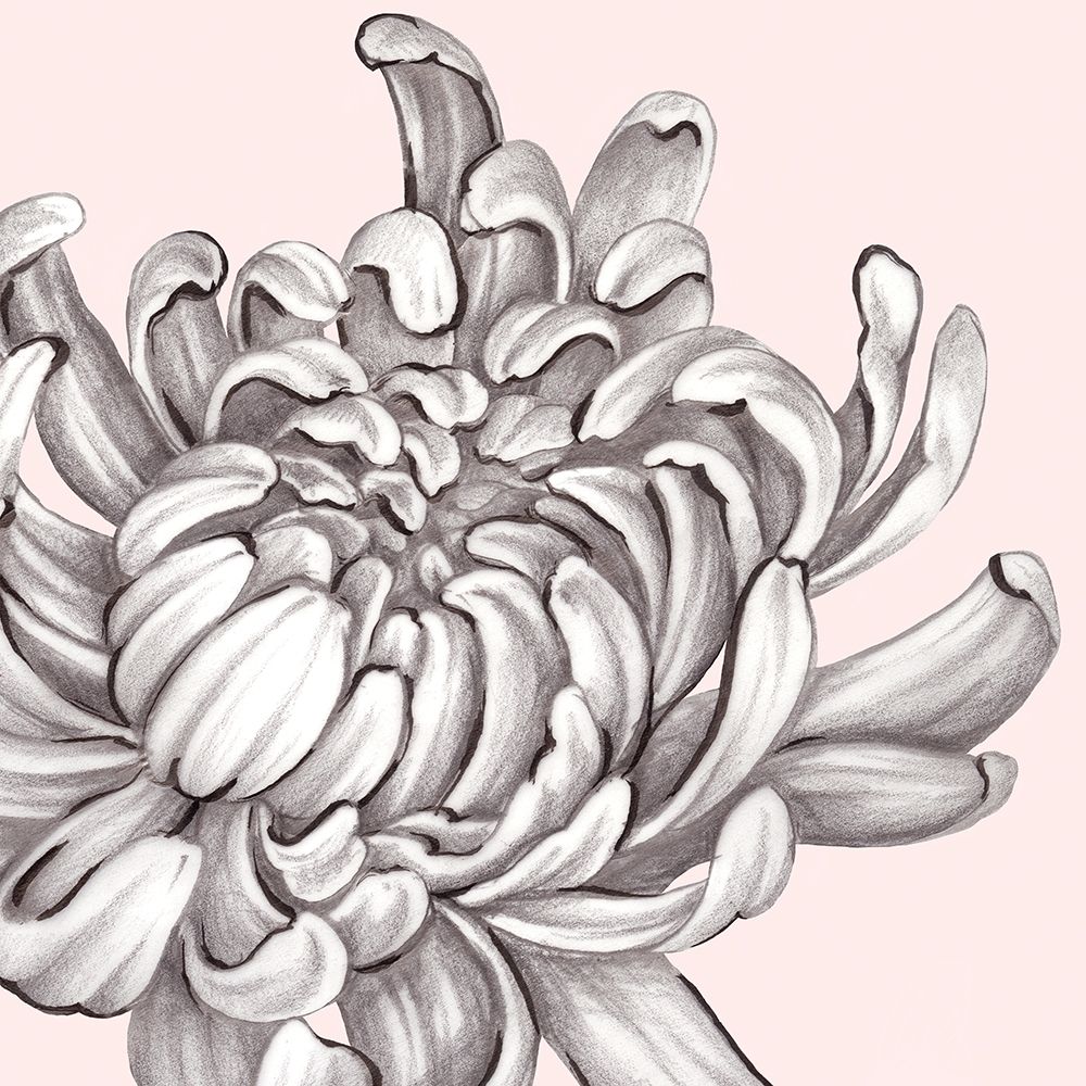 Similar wall art painting: 199466