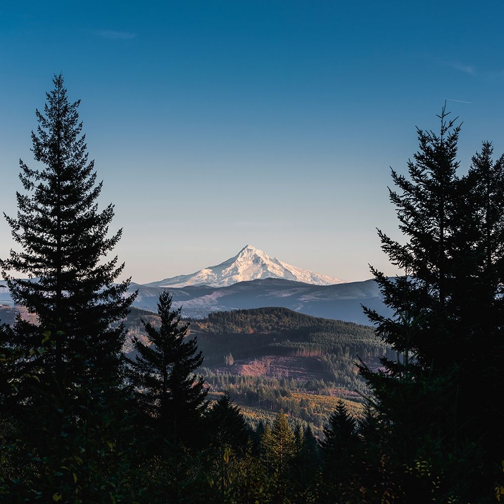 Wall Art Painting id:326180, Name: Mountain Through the Forest, Artist: Nature Magick