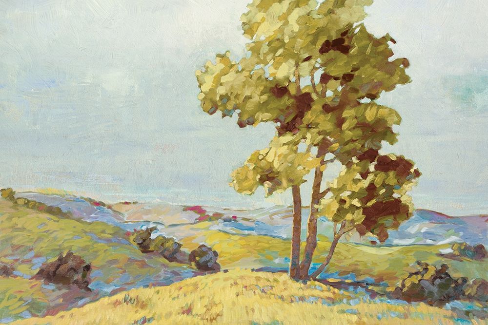 Wall Art Painting id:284682, Name: Sandhills I, Artist: Reynolds, Graham