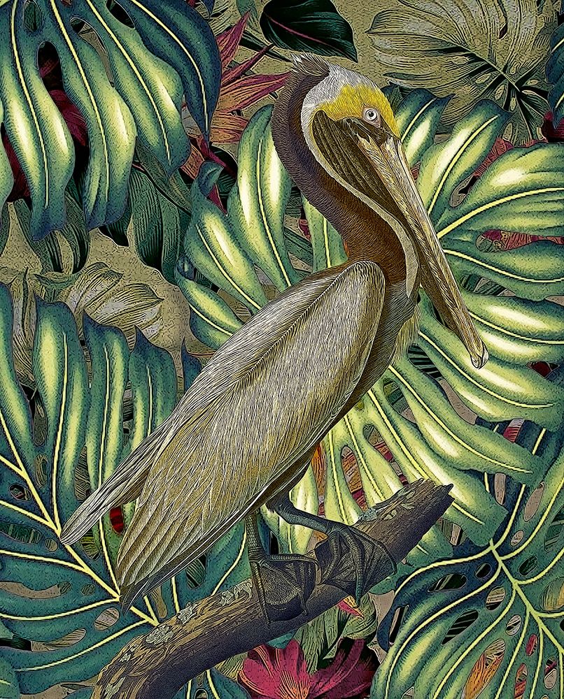 Wall Art Painting id:199412, Name: Jungled Pelican, Artist: Hunziker, Steve