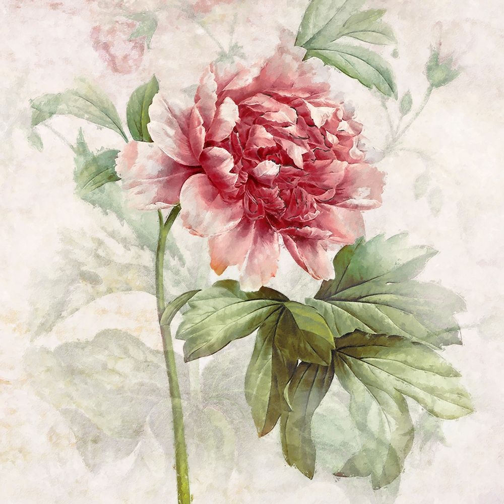 Wall Art Painting id:428389, Name: Ruby Floral I , Artist: Hunziker, Steve