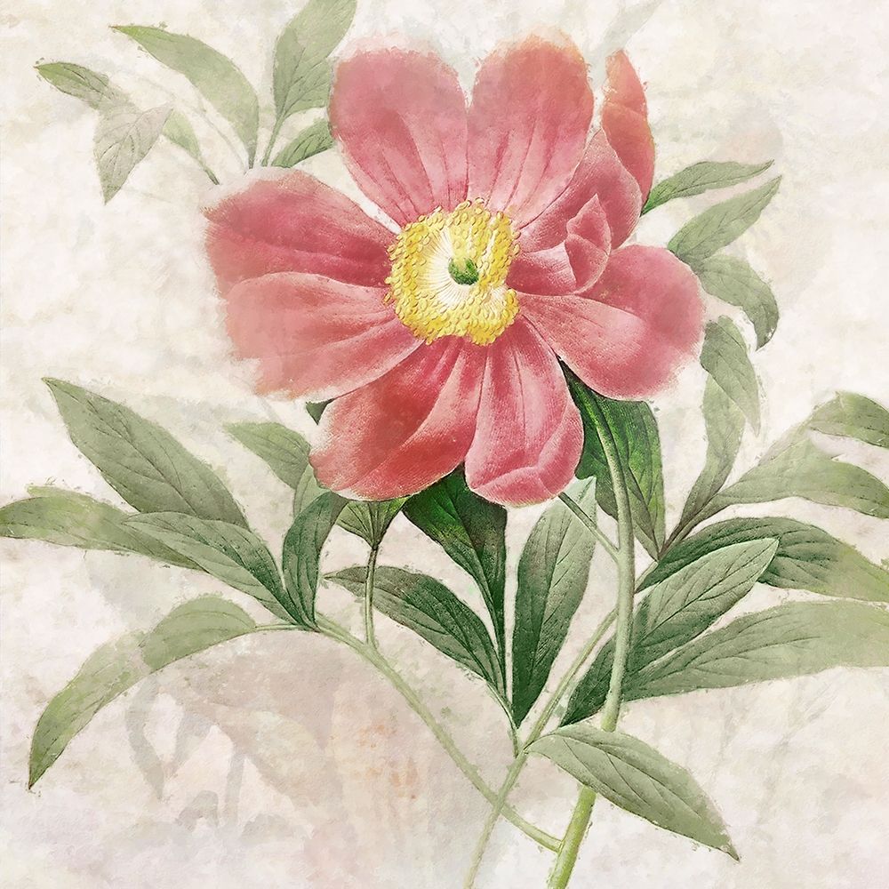 Wall Art Painting id:428390, Name: Ruby Floral II, Artist: Hunziker, Steve