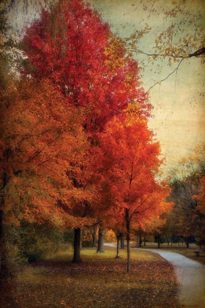 Wall Art Painting id:59427, Name: Among the Maples, Artist: Jenney, Jessica
