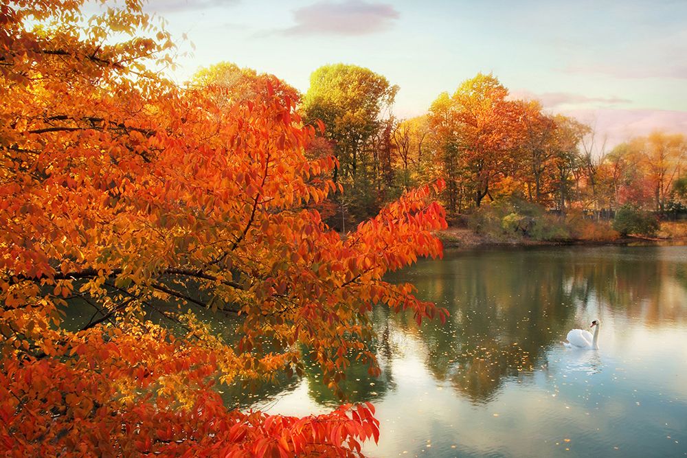 Wall Art Painting id:445494, Name: Autumn Splendor, Artist: Jenney, Jessica