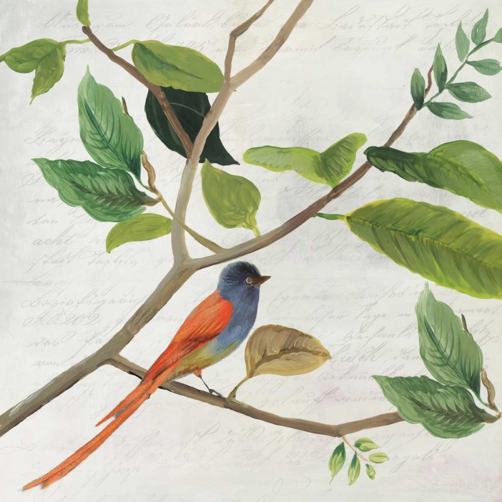 Wall Art Painting id:107159, Name: Singing Bird II, Artist: Jensen, Asia