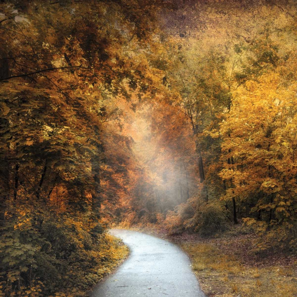 Similar wall art painting: 30394