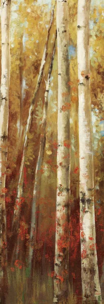 Wall Art Painting id:167548, Name: Birch Forest I, Artist: K, Ella