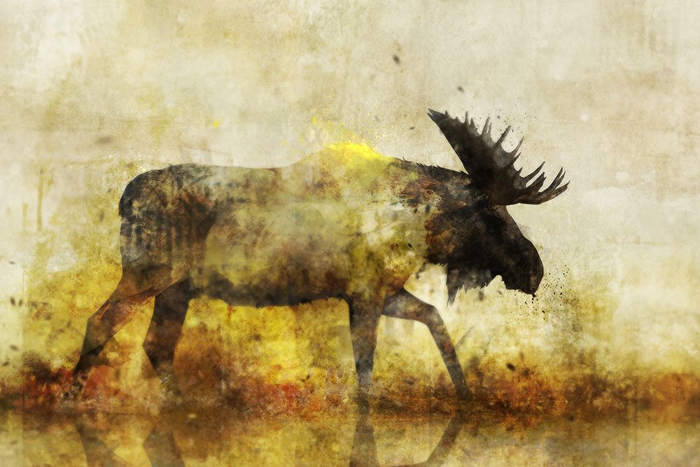 Wall Art Painting id:440341, Name: Happy Moose I, Artist: Roko, Ken