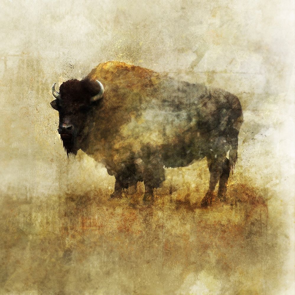 Wall Art Painting id:286171, Name: Peaceful Bison II, Artist: Roko, Ken