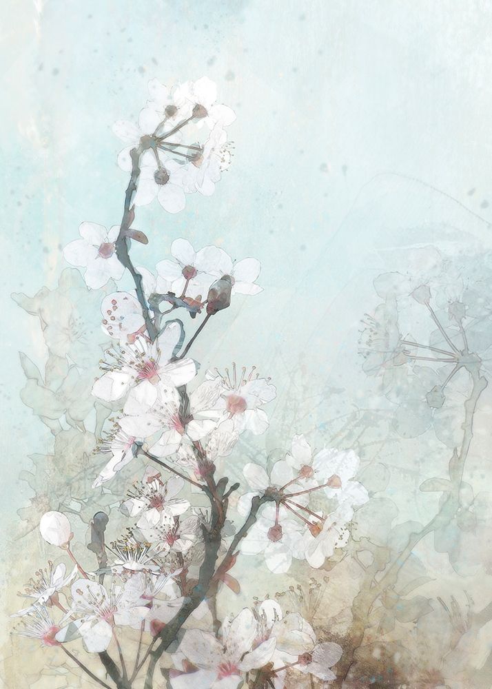 Wall Art Painting id:305210, Name: Climbing Cherry Blossoms II , Artist: Roko, Ken