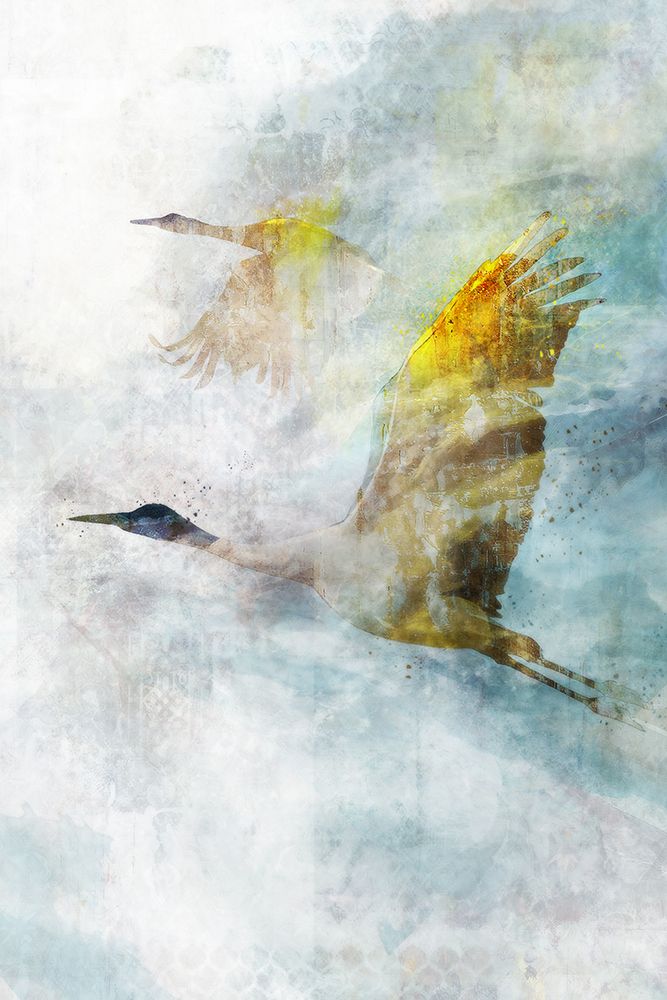 Wall Art Painting id:541156, Name: Crane Flight I, Artist: Roko, Ken