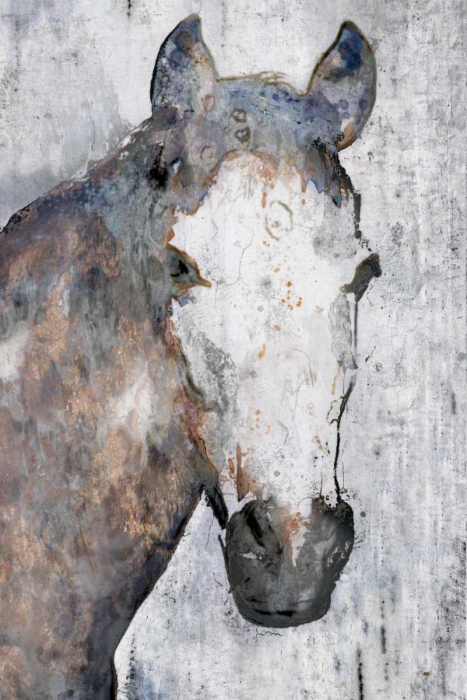 Wall Art Painting id:166757, Name: Horse Portrait I, Artist: Orlov, Irena