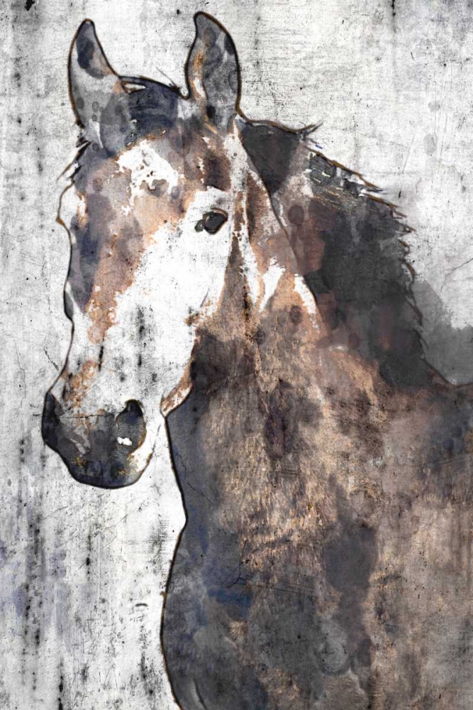 Wall Art Painting id:166756, Name: Horse Portrait II, Artist: Orlov, Irena