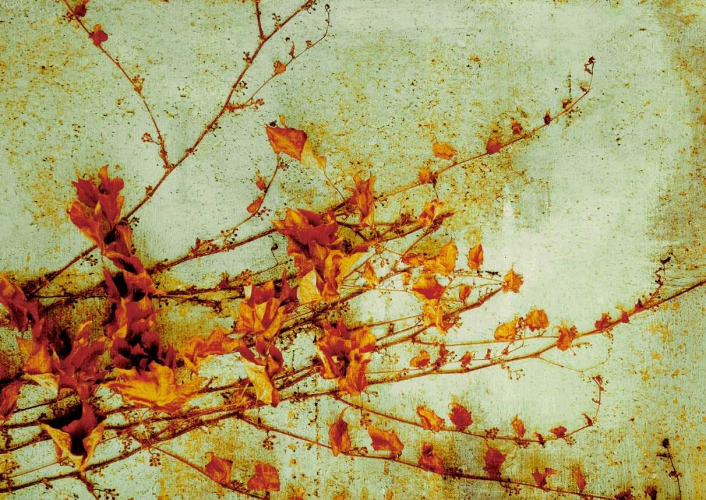 Similar wall art painting: 13415