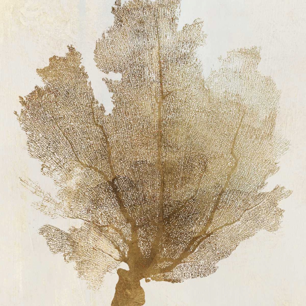 Art Print: Gold Coral I