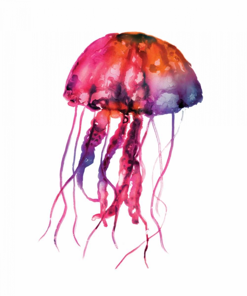 Wall Art Painting id:184319, Name: Multicolored Jellyfish, Artist: Selkirk, Edward