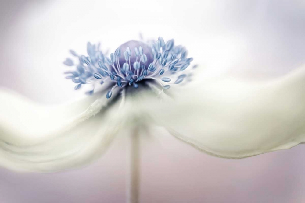 Similar wall art painting: 184323