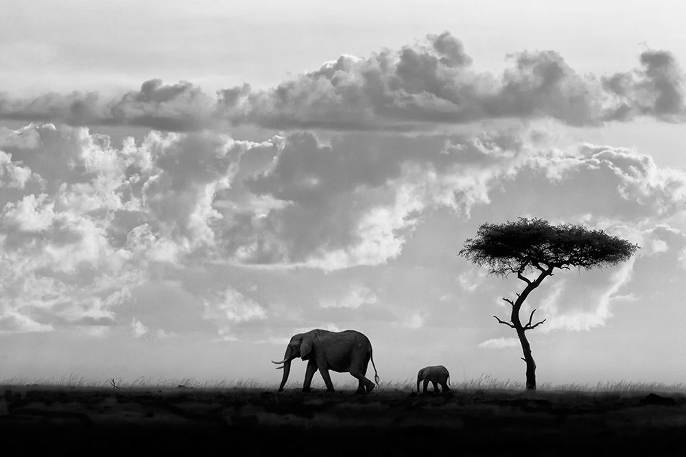 Similar wall art painting: 211751