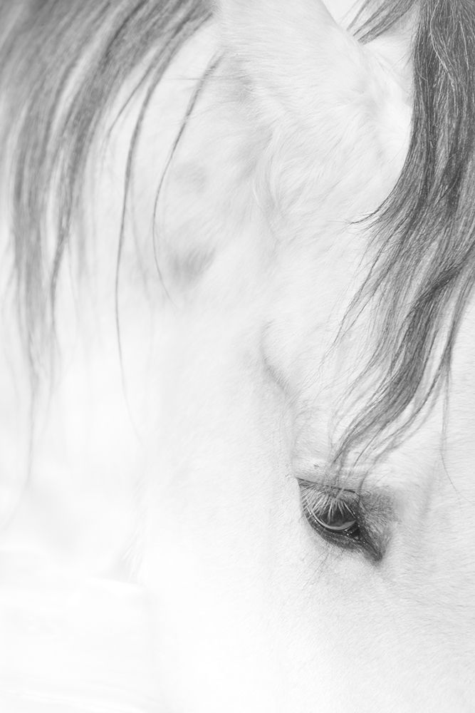 Similar wall art painting: 211090