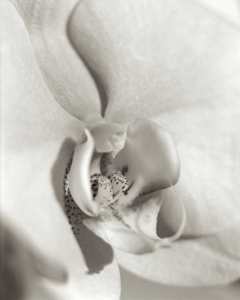 Similar wall art painting: 81845