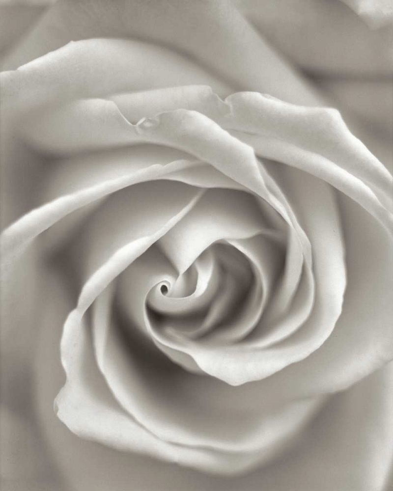 Similar wall art painting: 81846