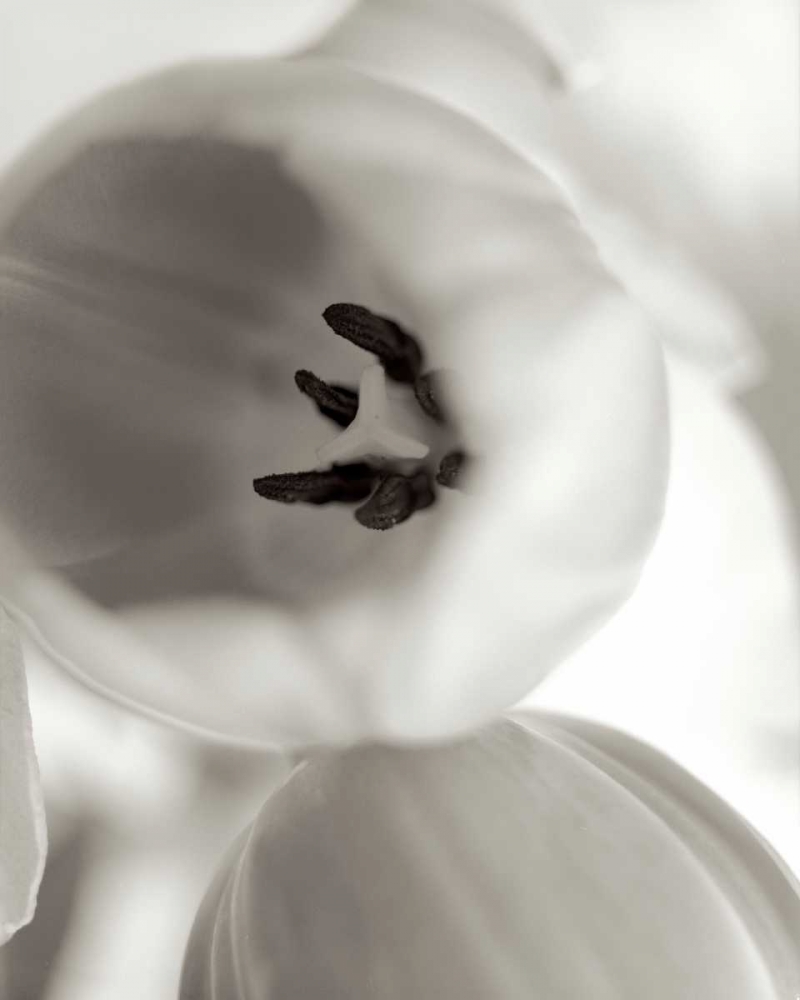 Similar wall art painting: 81838