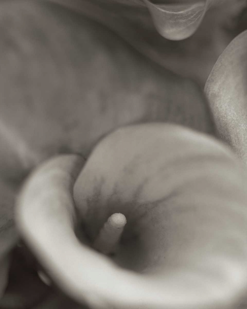 Similar wall art painting: 81841