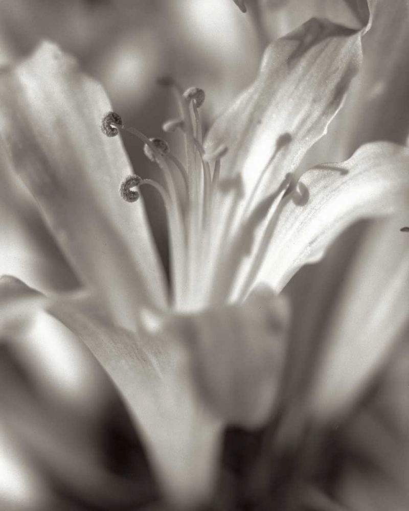 Similar wall art painting: 81836