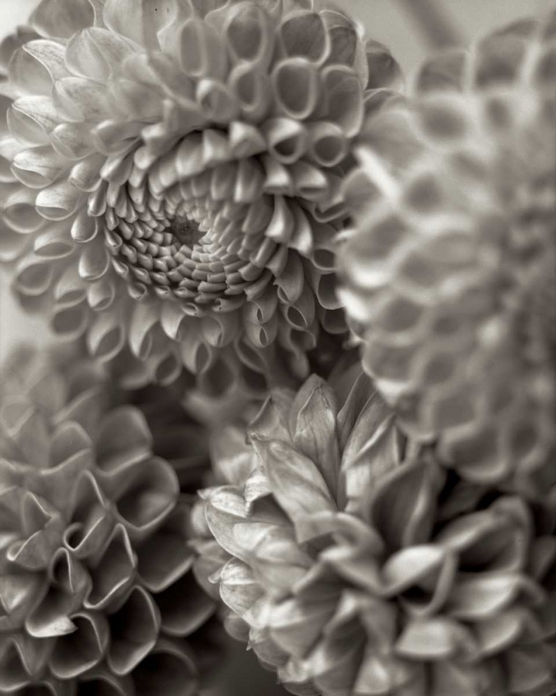 Similar wall art painting: 81835