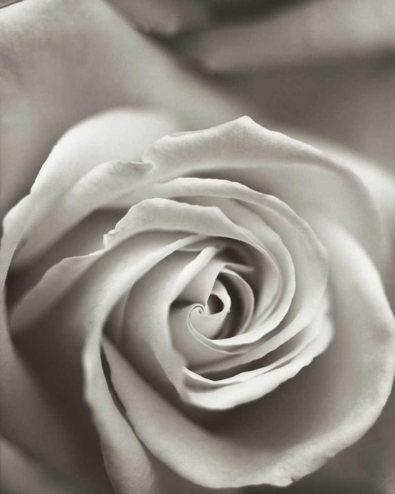 Similar wall art painting: 81834