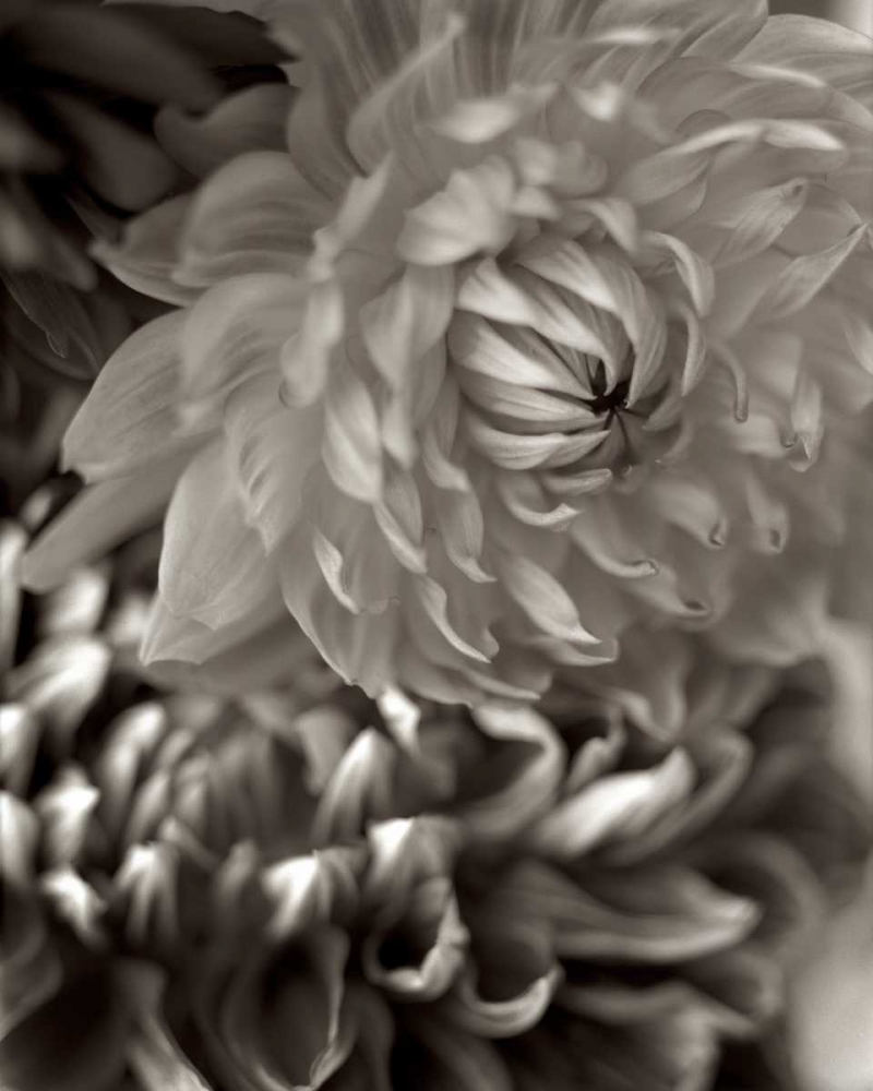 Similar wall art painting: 81827