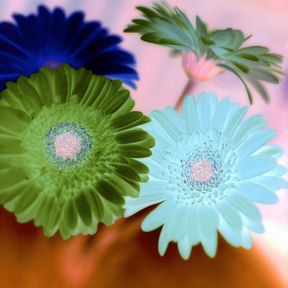 Similar wall art painting: 81804