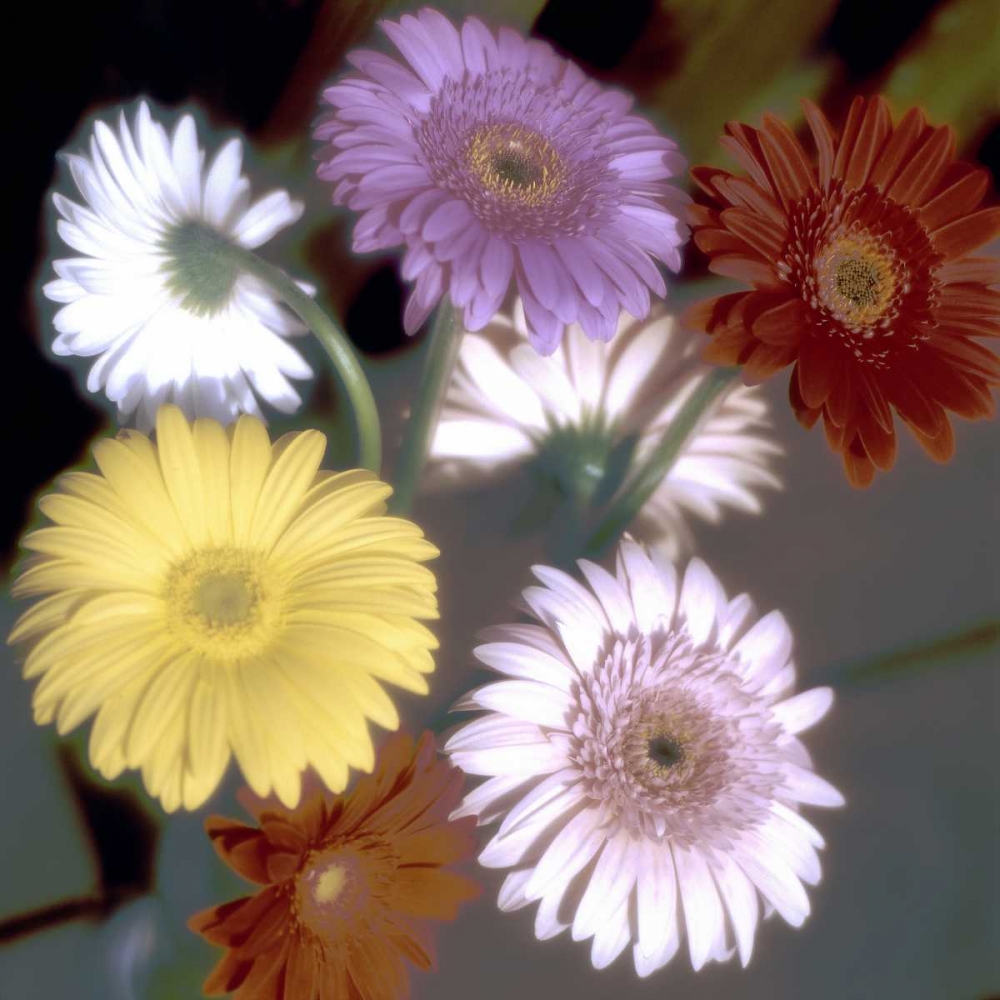 Similar wall art painting: 81820