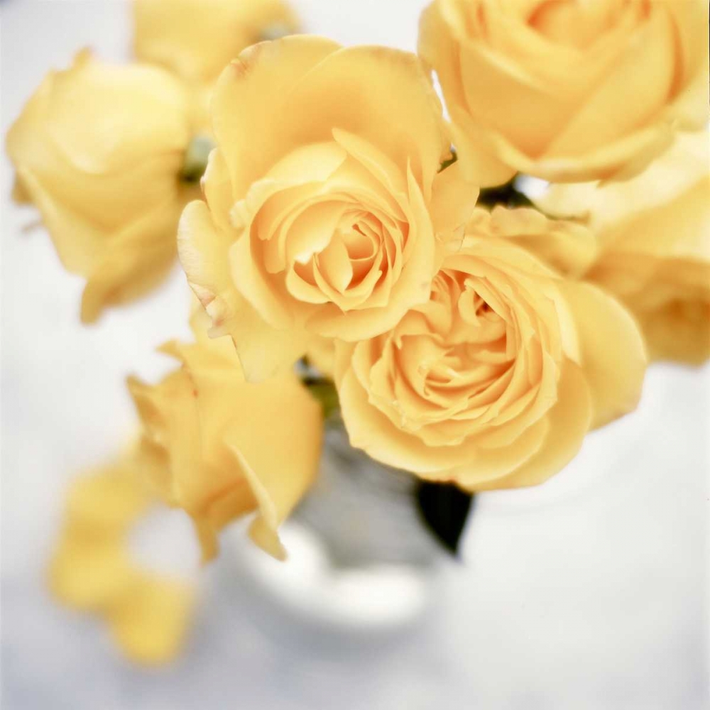 Similar wall art painting: 81807