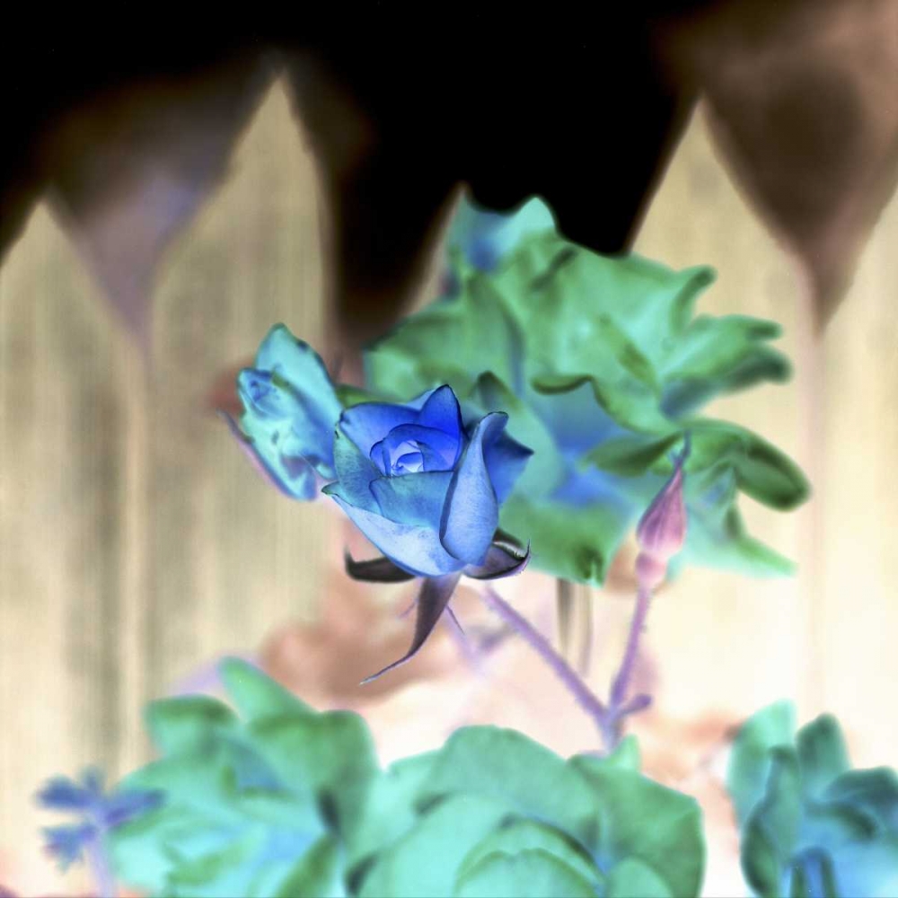 Similar wall art painting: 81821