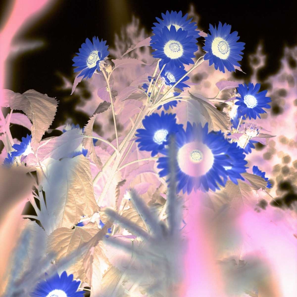 Similar wall art painting: 81822