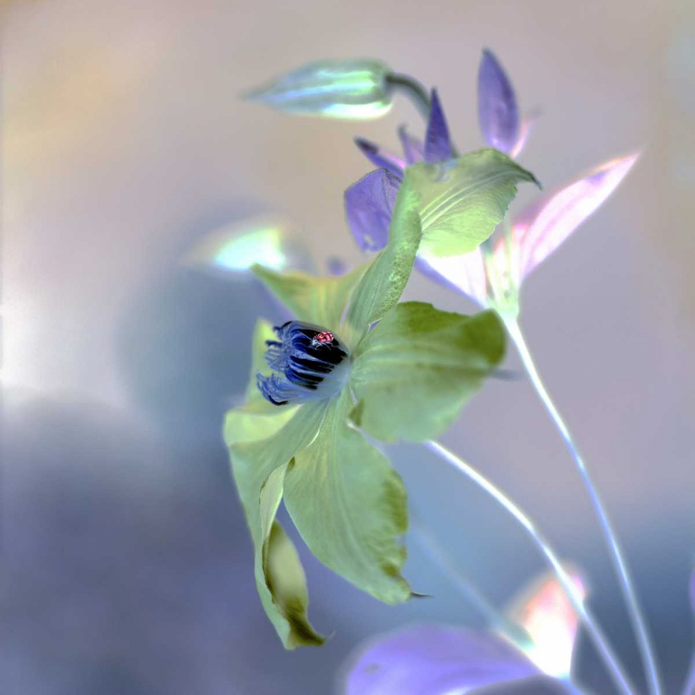 Similar wall art painting: 81823