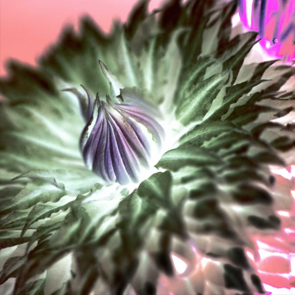 Similar wall art painting: 81794