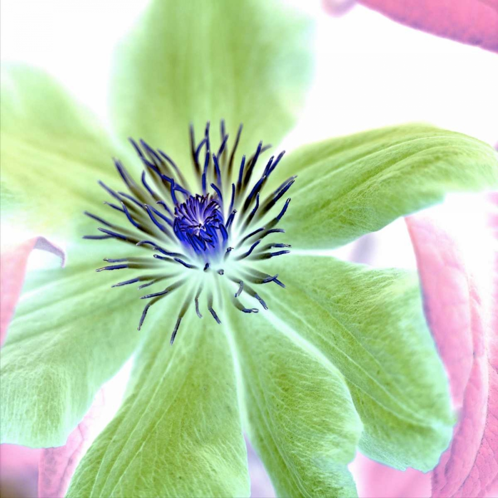 Similar wall art painting: 81824