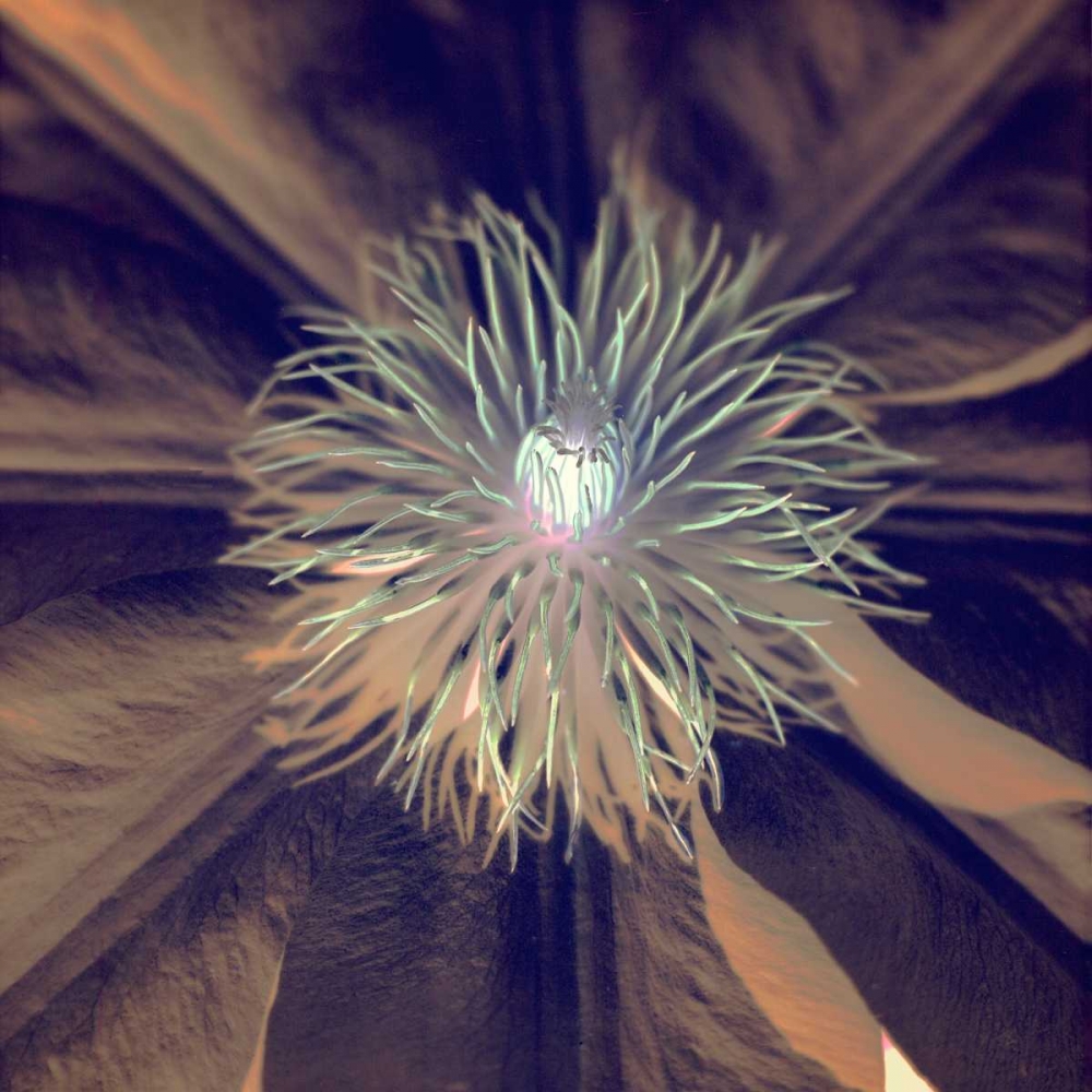 Similar wall art painting: 81797