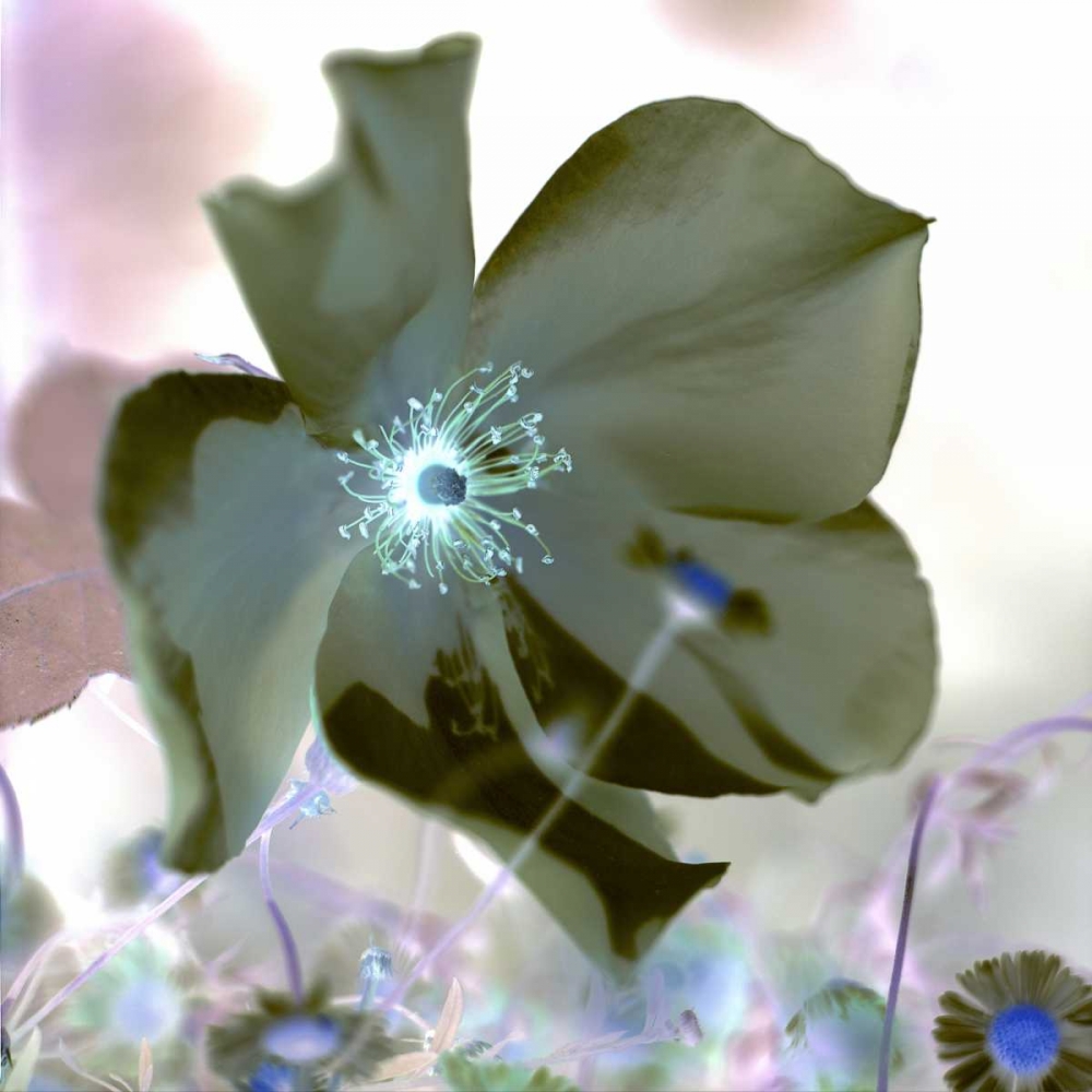 Similar wall art painting: 81798