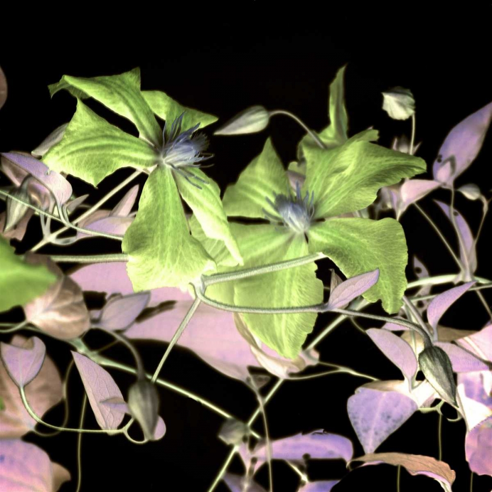 Similar wall art painting: 81799