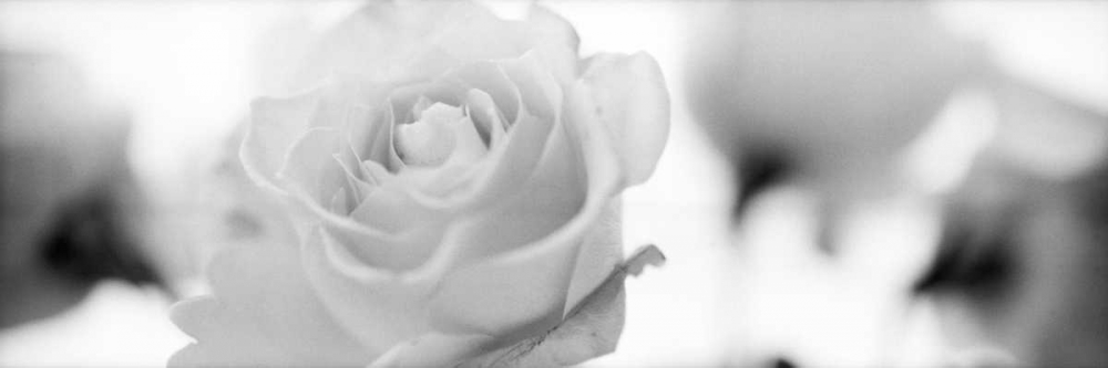 Similar wall art painting: 81830