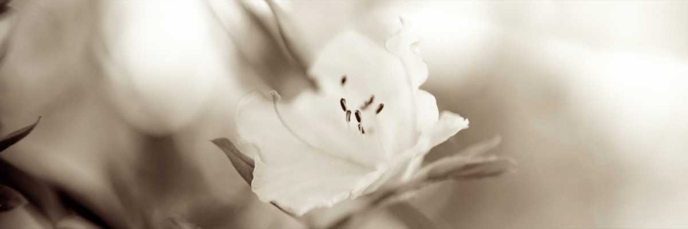 Similar wall art painting: 81832