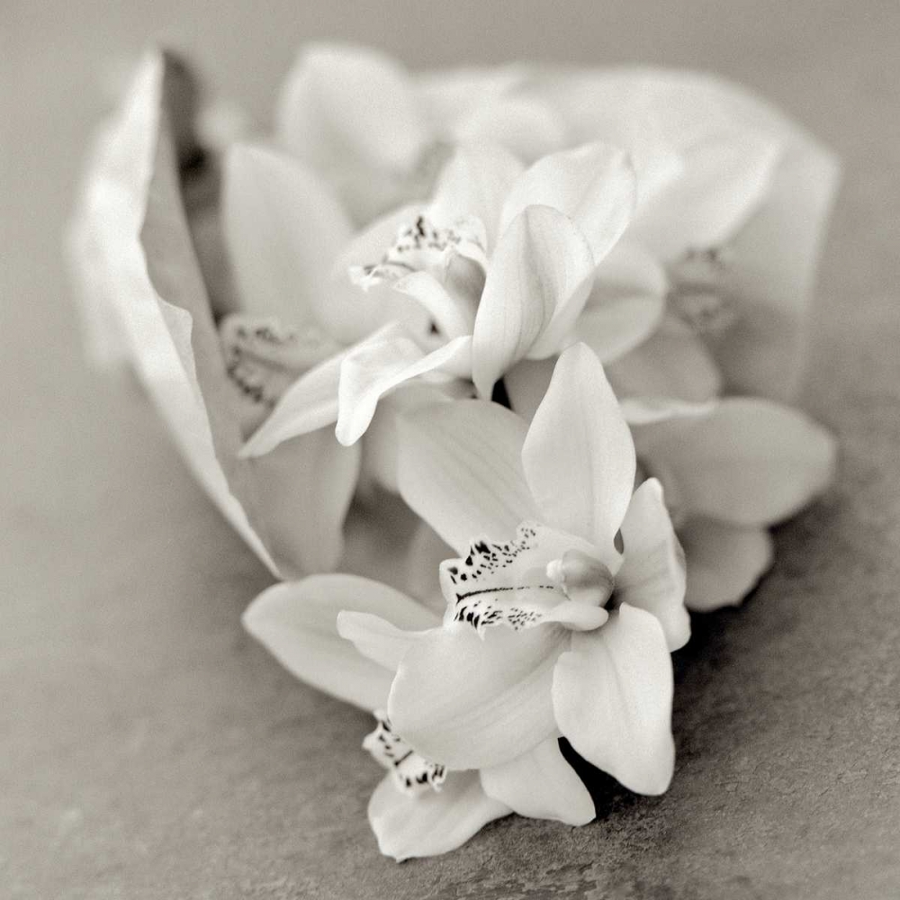 Similar wall art painting: 81850