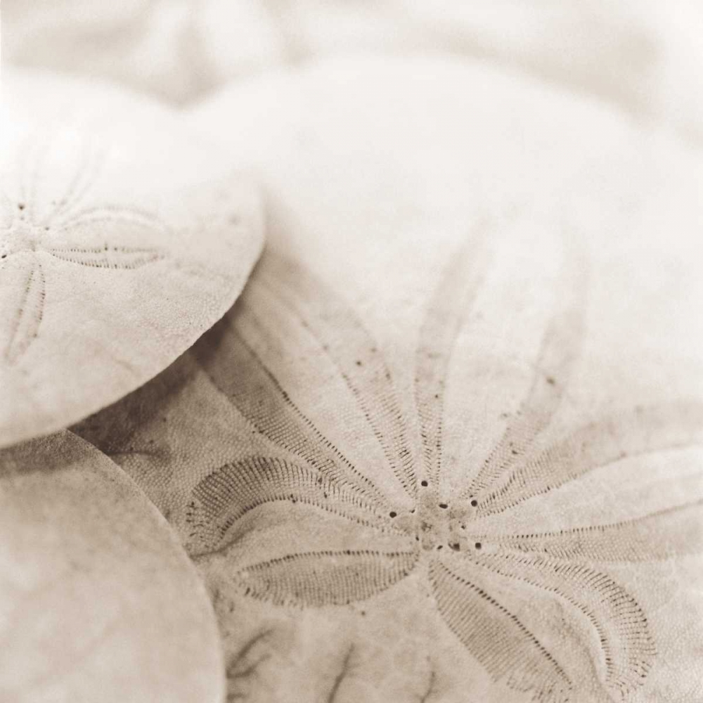 Similar wall art painting: 14624