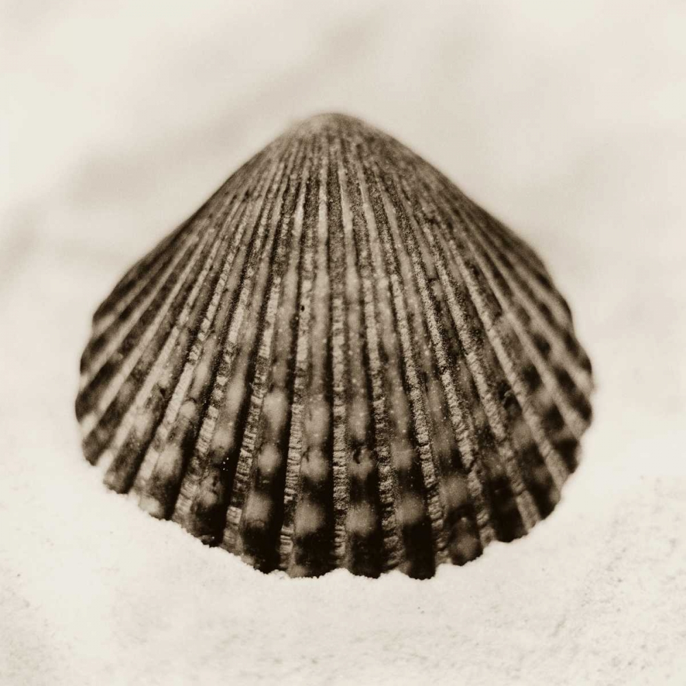 Similar wall art painting: 14702