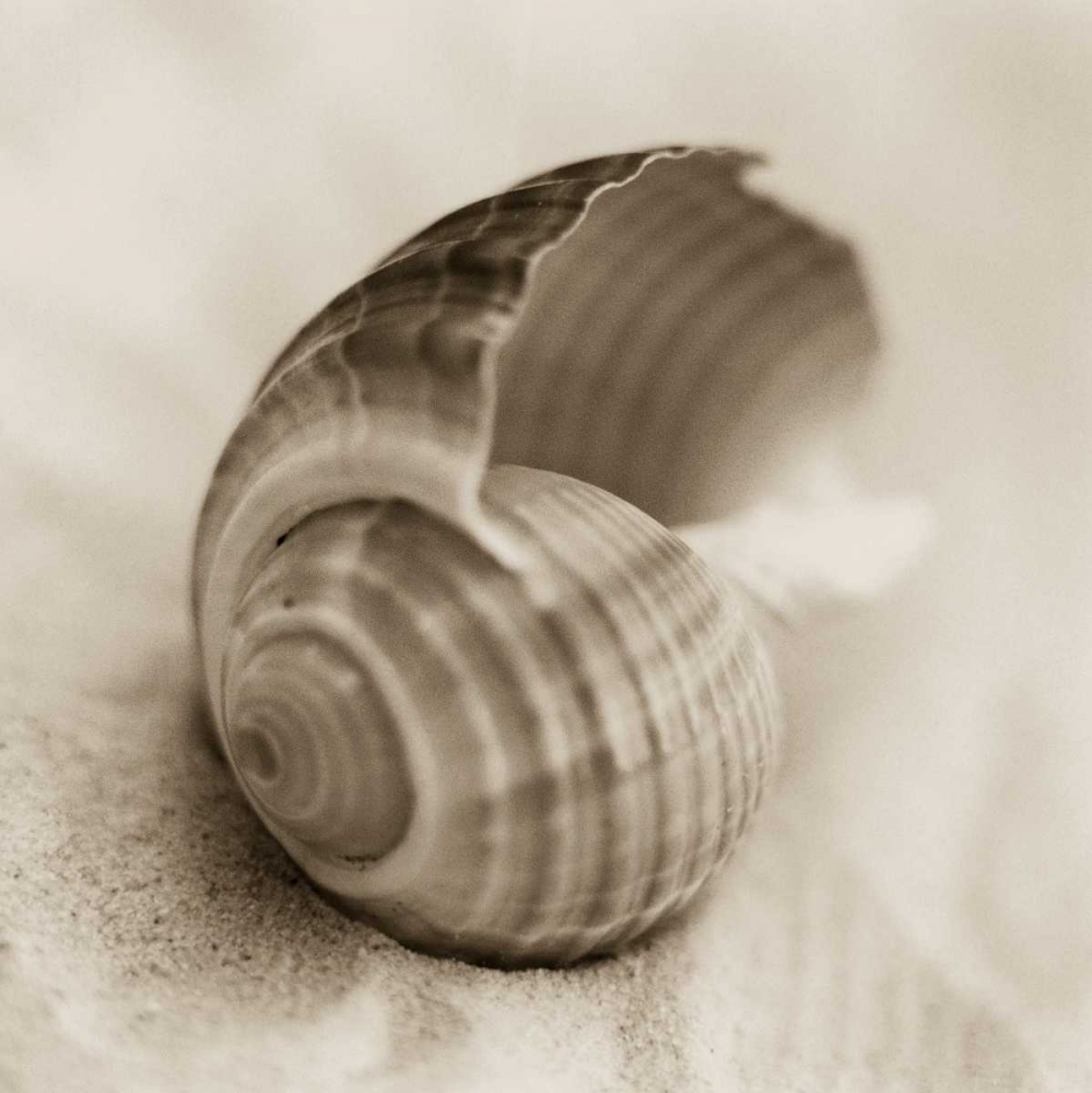 Similar wall art painting: 14704